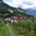 Vinice v Lichtenštejnsku. V povzdálí hrad Vaduz.